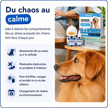 Kit diffuseur calmant pour chiens